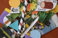 Cut out pieces ready for collage