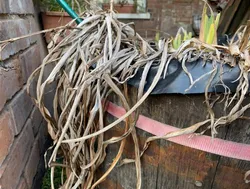 Materials for making land art