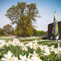 Green space at the University of Warwick