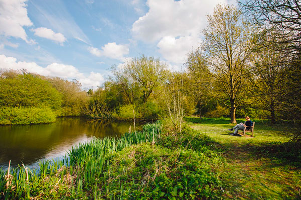 A clickable image of a tranquil rural part of our local area that links to our Local Area page
