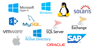 icons showing examples of the various software that commvault supports. Included are Microsoft Windows, Microsoft Active Directory, Microsoft HyperV, VMWare, SQL Server, Oracle, Linux.