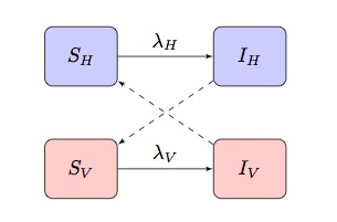 Criss-cross transmission