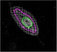 Image1